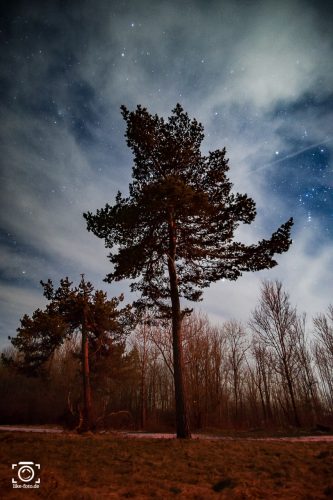 Zeitraffer vom Sternenhimmel erstellen und nachbearbeiten - like-foto.de