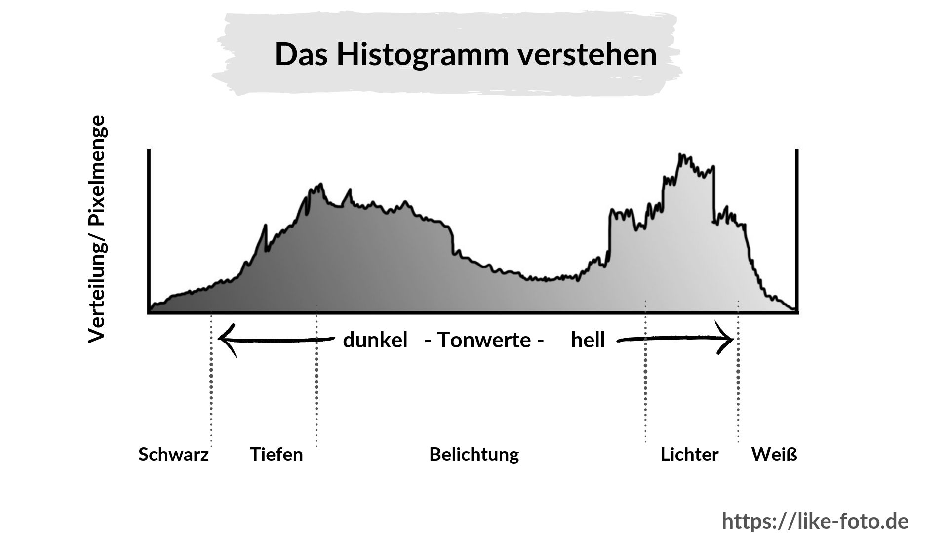 Das Histogramm verstehen. In diesem Artikel schauen wir uns an, welche Aussagekraft ein Histogramm hat. Fotografieren Lernen auf like-foto.de